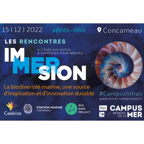 Rencontre Immersion Biomimétisme du 15/12 à Concarneau 