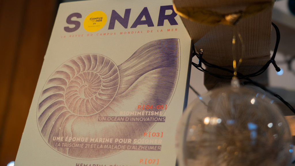 Le SONAR 9 est sorti : bioinspiration marine