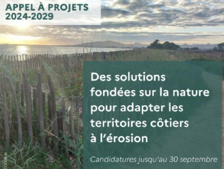 Redrose Developments s'engage dans l'aventure du Narwhal Challenge