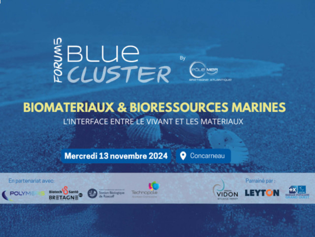 Forum Blue Cluster