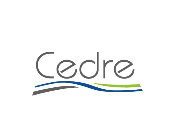 Webinaire du Cedre : Diagnostics portuaires