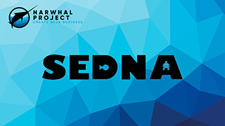 « Narwhal Challenge » : des nouvelles de Sedna Technologies