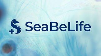 SeaBeLife Biotech lève 1 M€ pour poursuivre ses développements ciblant la mort cellulaire régulée