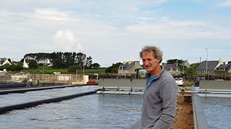 Spécialisé dans l’élevage d’ormeaux, France Haliotis investit dans la culture d’algues à terre