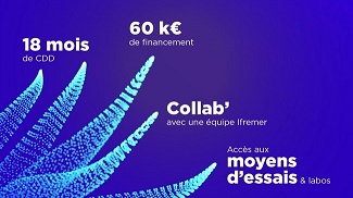 La solution est dans l’océan : l'Ifremer aide la création de start-up