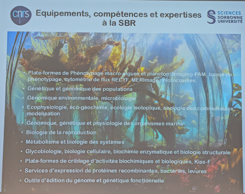 Diapositive de présentation listant les domaines d’expertise de la Station biologique de Roscoff, incluant la biologie marine, l’écologie, la microbiologie, la génétique et les biotechnologies marines. Crédit : Campus mondial de la mer