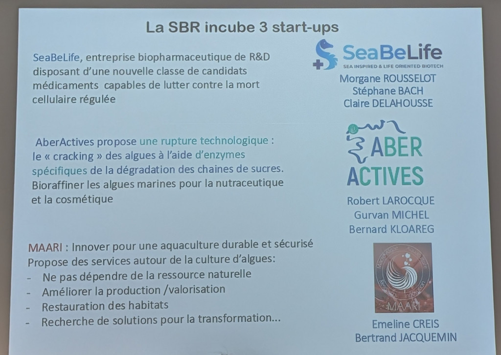 Diapositive de présentation mettant en avant trois start-up présentées lors de la Rencontre Immersion, avec leurs logos et informations principales. Crédit : Campus mondial de la mer