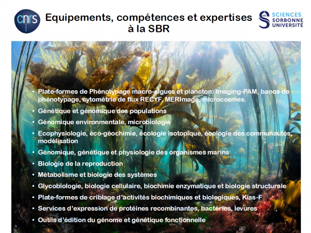 Diapositive de présentation listant les domaines d’expertise de la Station biologique de Roscoff, incluant la biologie marine, l’écologie, la microbiologie, la génétique et les biotechnologies marines. Crédit : Campus mondial de la mer