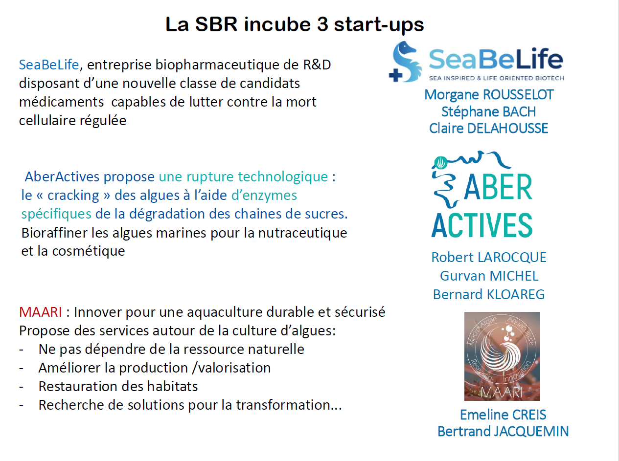 Diapositive de présentation mettant en avant trois start-up présentées lors de la Rencontre Immersion, avec leurs logos et informations principales. Crédit : Campus mondial de la mer