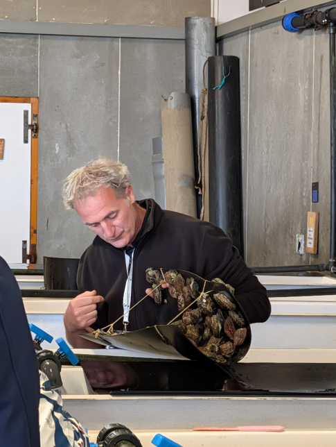 Photo taken during a visit to France Haliotis organised by the Campus Mondial de la Mer in 2026. Credit: Campus Mondial de la Mer.