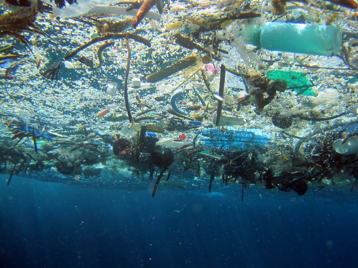 Marine debris