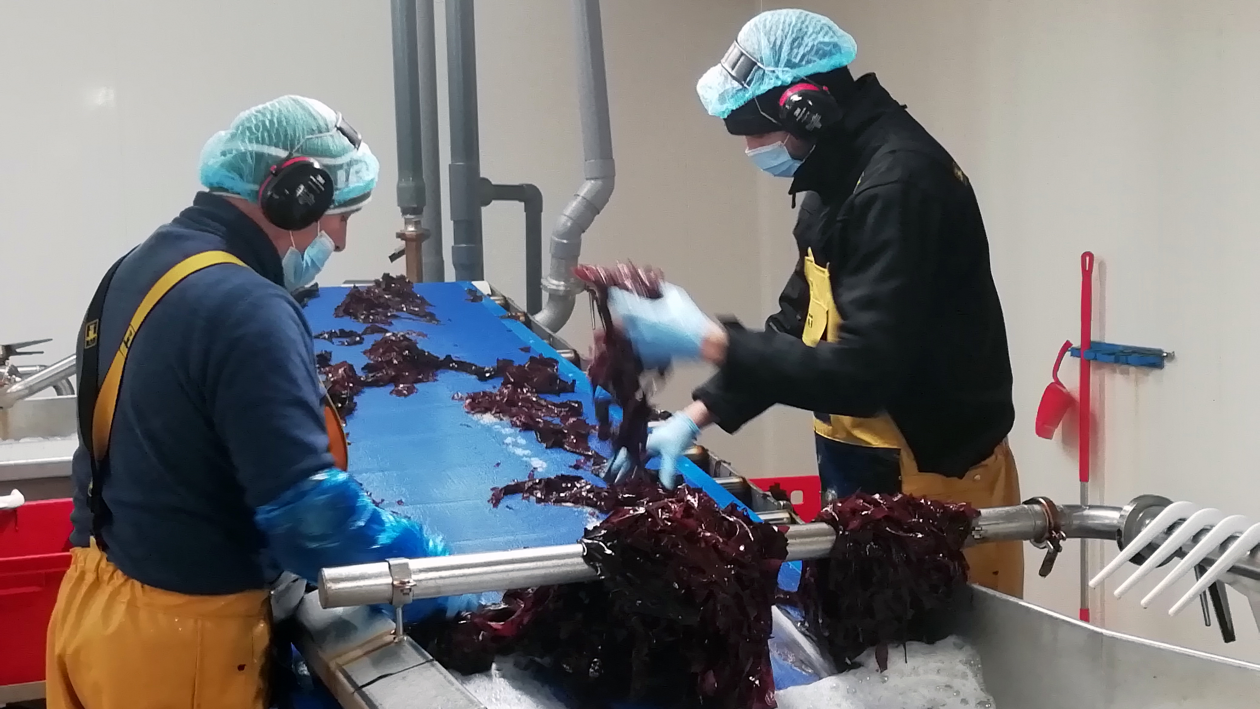 Visite des ateliers de transformation