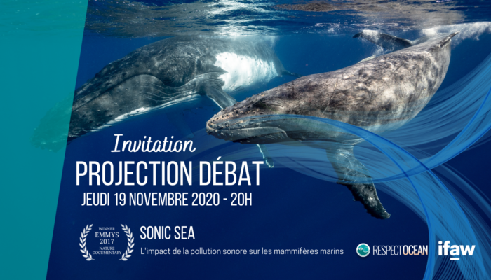 Projection débat autour du documentaire "Sonic Sea"