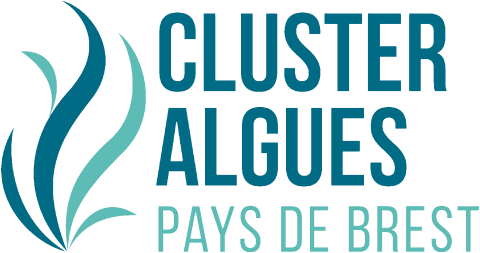 Cluster Algues