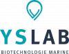 YSLAB