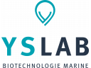 YSLAB