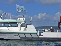 CELADON