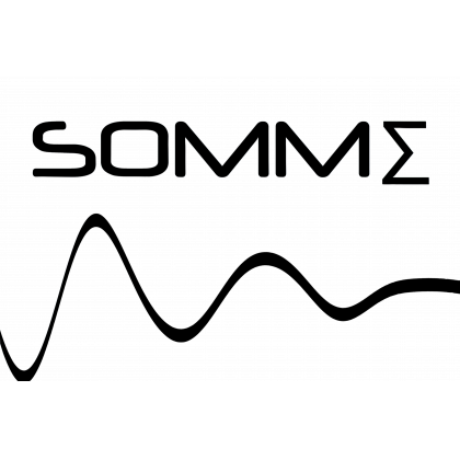 SOMME SOCIETE D'OBSERVATION MULTIMODALE DE L'ENVIRONNEMENT (SOMME)