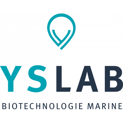 YSLAB