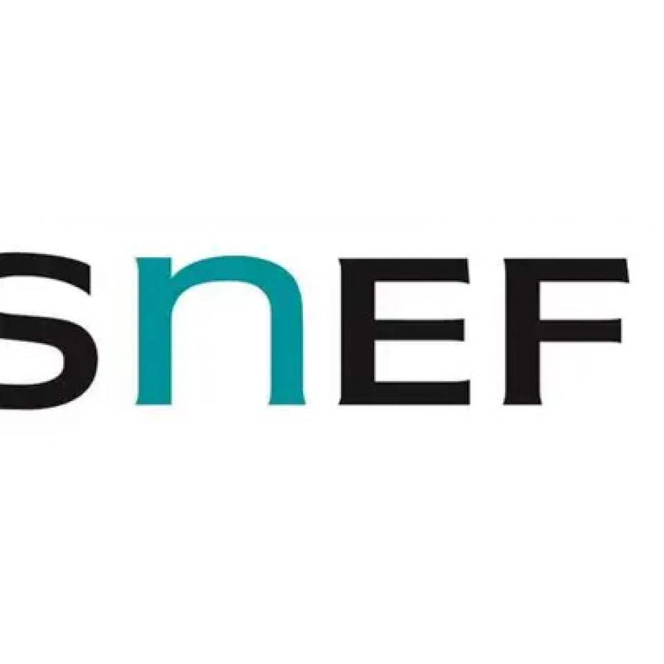 SNEF – Agence Navale Bretagne SNEF – Agence Navale Bretagne