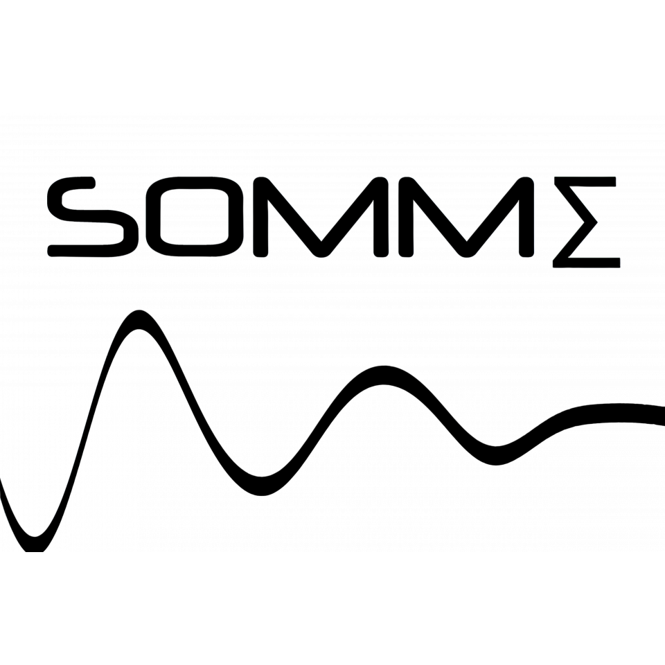 SOMME SOCIETE D'OBSERVATION MULTIMODALE DE L'ENVIRONNEMENT (SOMME)