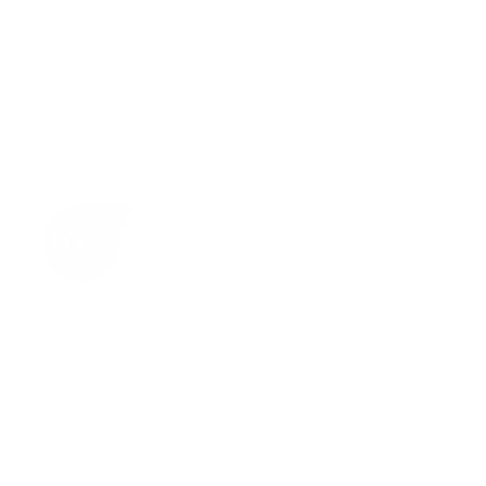 AMMONITE CONSULTING AMMONITE CONSULTING