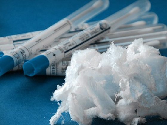 Polymaris Biotechnology acquires a pilot production line for bioplastics 