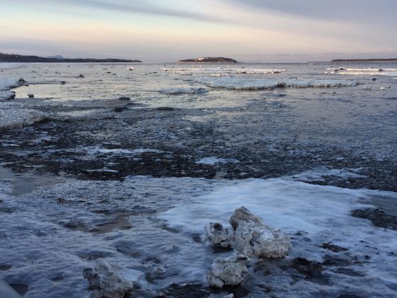 Mission in Rimouski: Marine Sciences under 40cm of snow