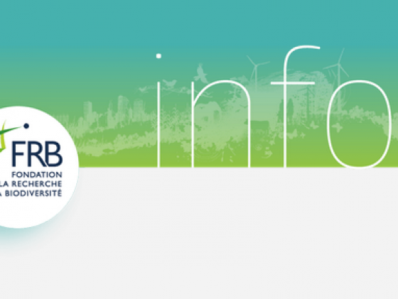 The FRB celebrates its 10th anniversary and launches its first prize, The deadline for applications is approaching!