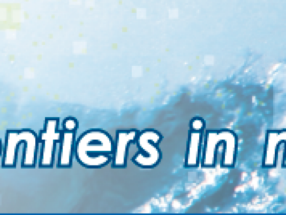 Call for proposal : international postdoctoral fellowships in Marine Sciences and Technology