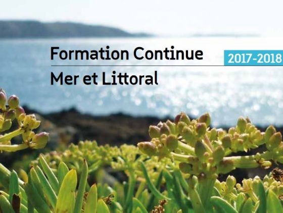 Catalog Continuing Education Sea & Coastal