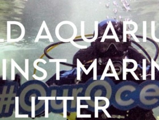 Oceanopolis joins the "World Aquariums Against Marine Litter" campaign