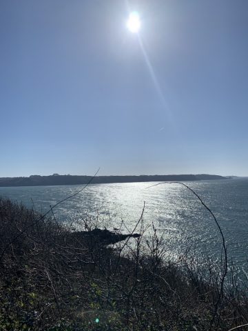 Lettre d'information de la communauté du Campus N°76 - Mars 2026