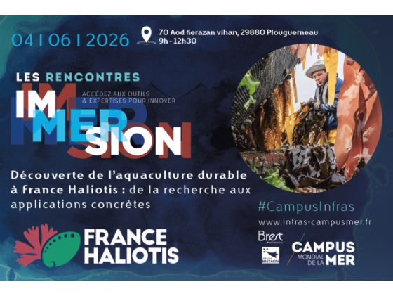 Rencontres Immersion : France Haliotis, culture d’algues et élevage d’ormeaux