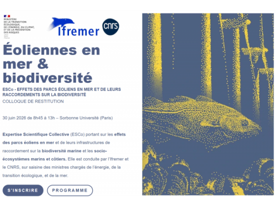 Colloque : ESCo - Effets des parcs éoliens en mer et de leurs raccordements sur la biodiversité
