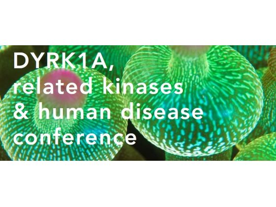 DYRK1A, related kinases & human disease conference