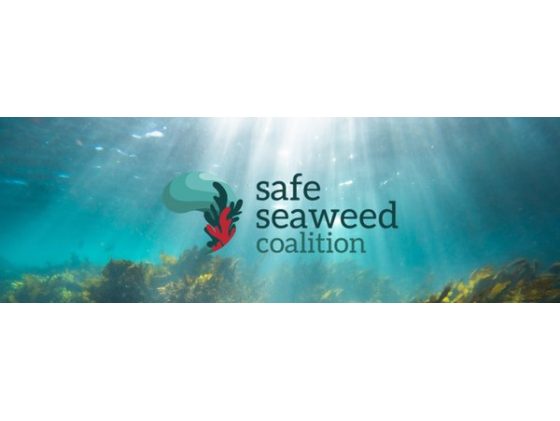 Lancement de la Safe Seaweed Coalition