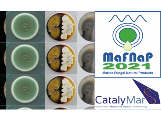 3rd International Conference of the Marine Fungal Natural Products