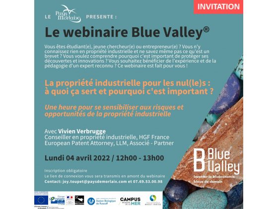 Webinaire  Blue Valley® "La propriété industrielle pour les nul(le)s"