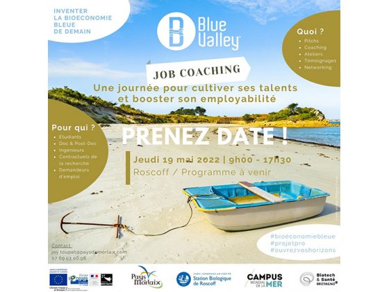 Job Coaching