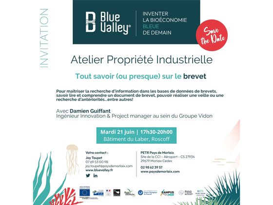 Atelier Propriété Industrielle Blue Valley®