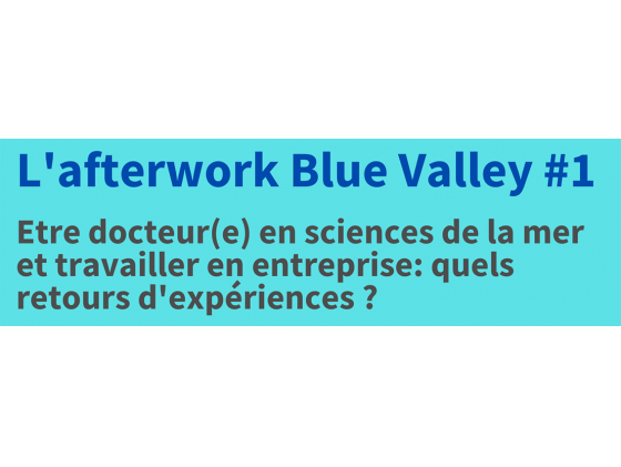 L'afterwork Blue Valley #1