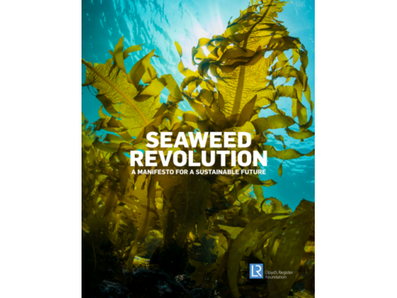  Seaweed Manifesto: Towards implementation 