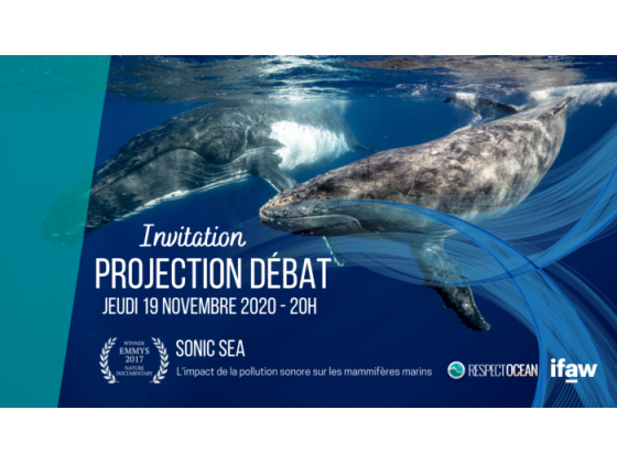 Projection débat autour du documentaire "Sonic Sea"
