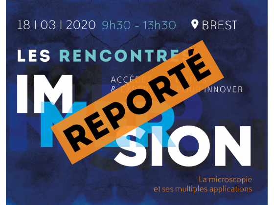 Rencontres IMMERSION n°2