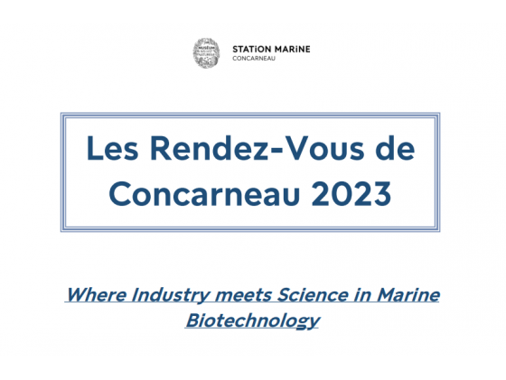 Les Rendez-Vous de Concarneau 2023