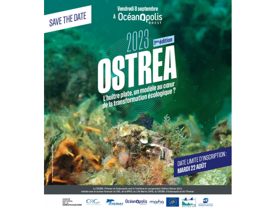 OSTREA - L'huître plate, un modèle au coeur de la transformation écologique ?