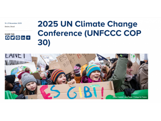 2025 UN Climate Change Conference (UNFCCC COP 30)