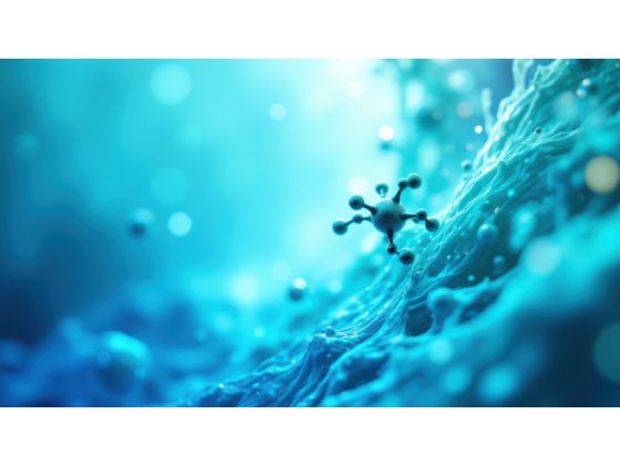 Chimiothèque et bio-prospection marine - Journée scientifique proposée par l’axe Exploration fonctionnelle de Biogenouest