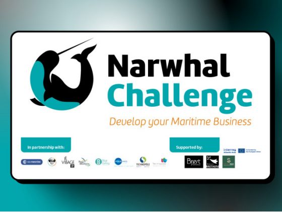 Webinaire d'informations : Narwhal Challenge